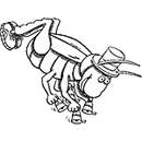 La ballata di grillotalpa