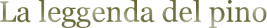 La leggenda del pino