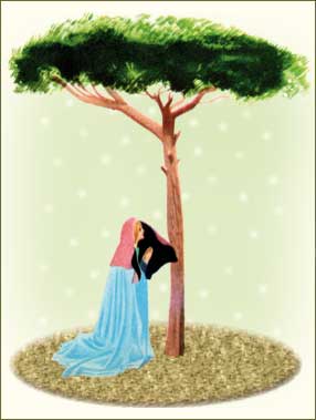 La notte di Natale, il pino...