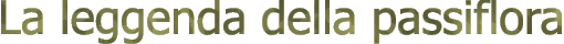 La leggenda della passiflora